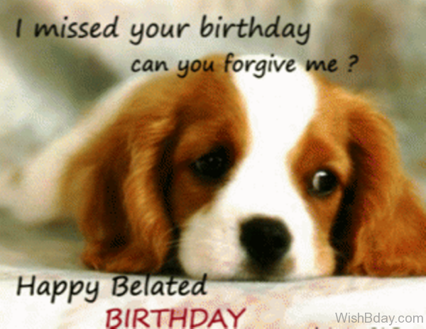 64 Dog Birthday Wishes