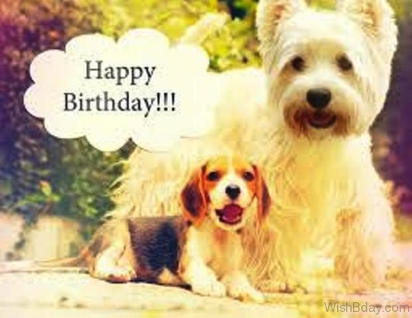 Happy Birthday Dog Image 1