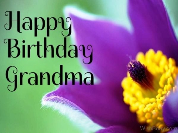 Happy Birthday Grandmother Wishes