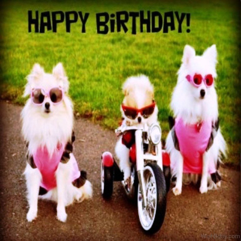 18 Biker Birthday Wishes