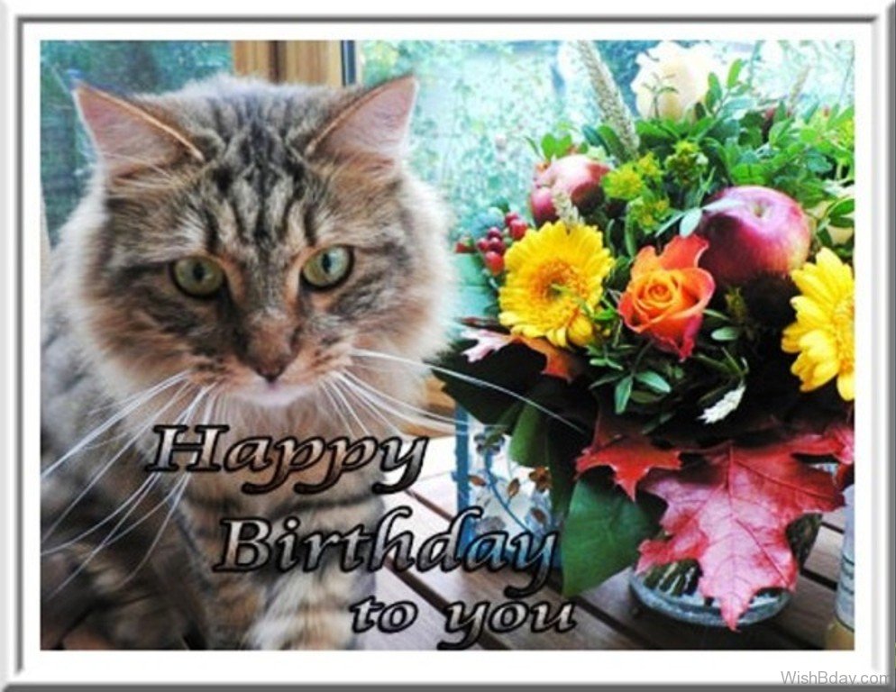 Happy-Birthday-To-You-Cat-Image.jpg