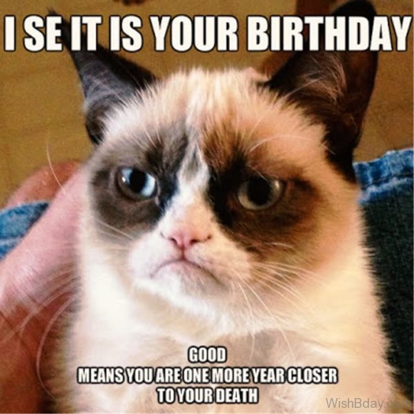 25 Funny Birthday Wishes