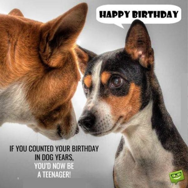 42 Humorous Birthday Wishes