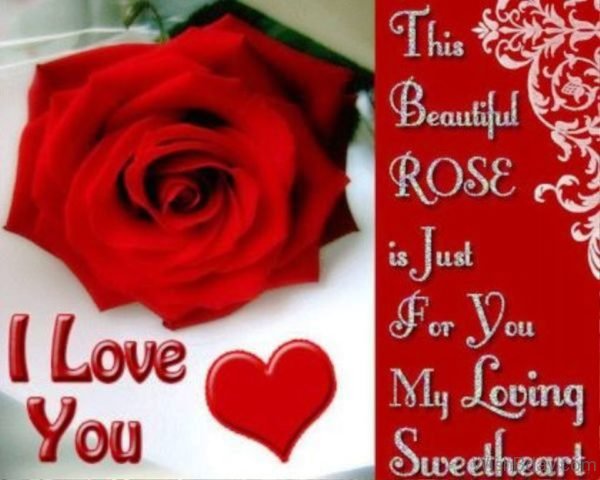 This Beautiful Rose Is Just For Your My Loving Sweetheart