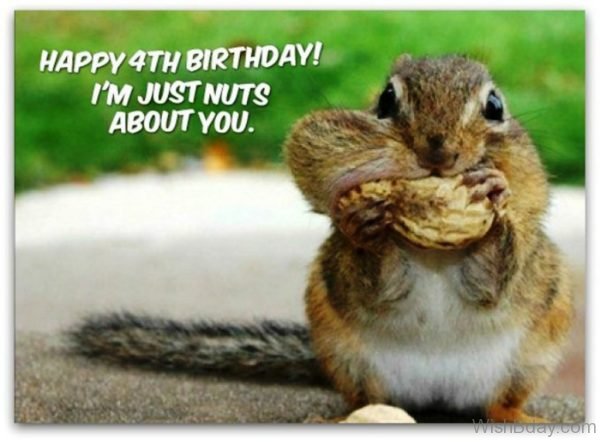 I Am Just Nuts About You
